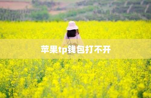 苹果tp钱包打不开