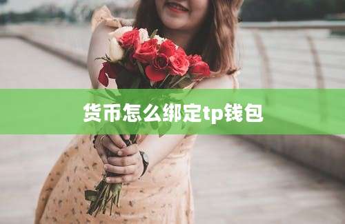 货币怎么绑定tp钱包
