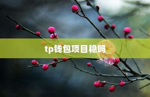 tp钱包项目稳吗