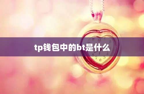 tp钱包中的bt是什么