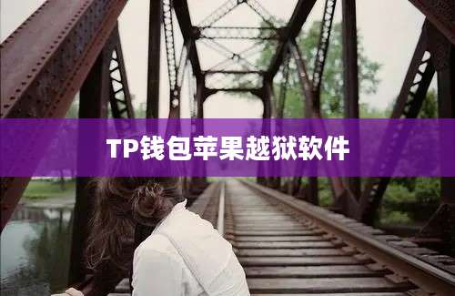 TP钱包苹果越狱软件