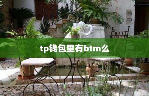 tp钱包里有btm么