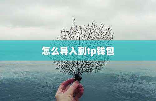 怎么导入到tp钱包