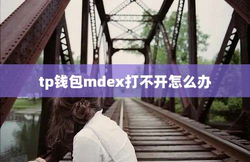 tp钱包mdex打不开怎么办