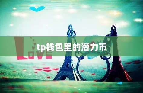 tp钱包里的潜力币