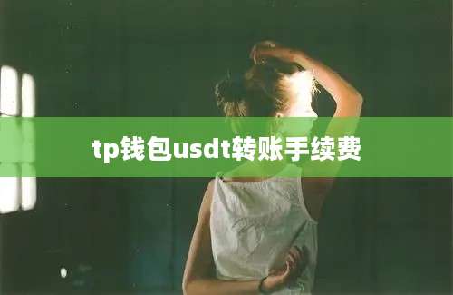 tp钱包usdt转账手续费