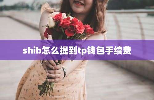 shib怎么提到tp钱包手续费