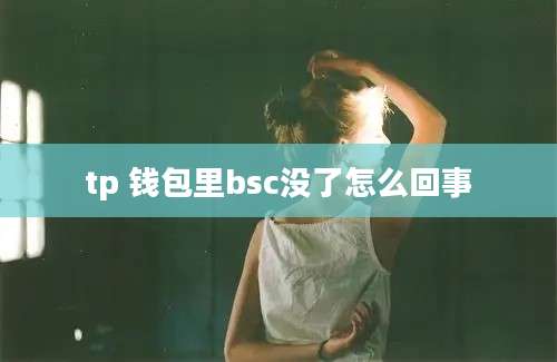 tp 钱包里bsc没了怎么回事