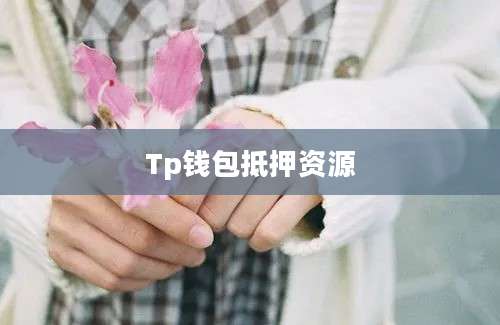 Tp钱包抵押资源