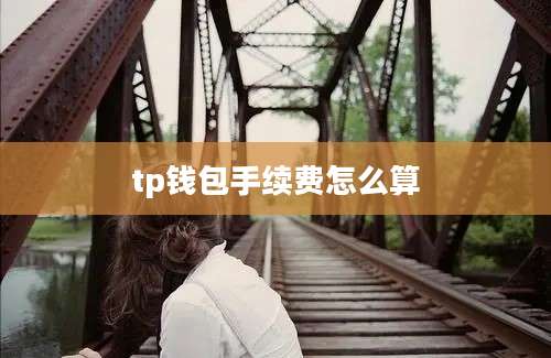 tp钱包手续费怎么算