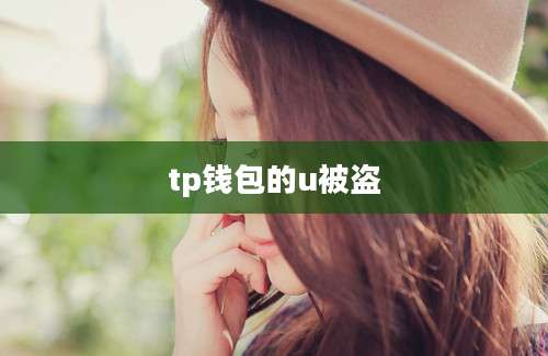 tp钱包的u被盗