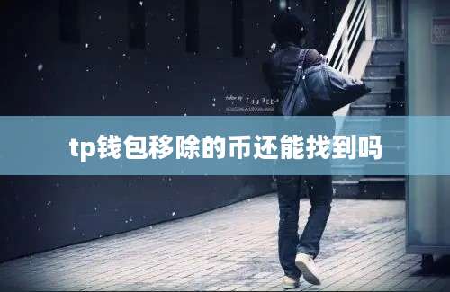 tp钱包移除的币还能找到吗