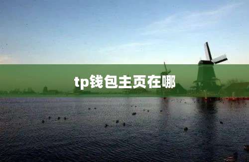 tp钱包主页在哪