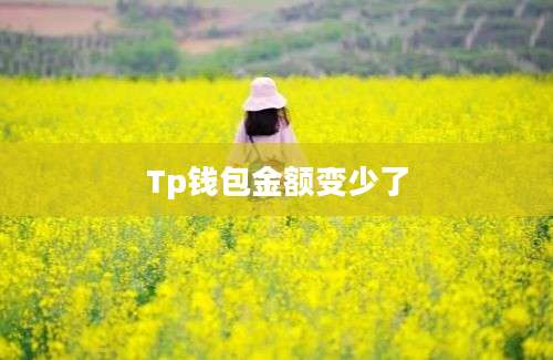 Tp钱包金额变少了