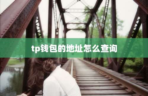 tp钱包的地址怎么查询