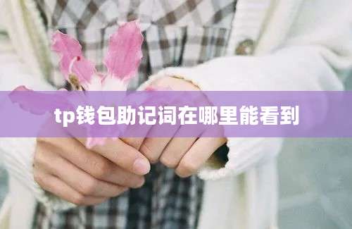 tp钱包助记词在哪里能看到