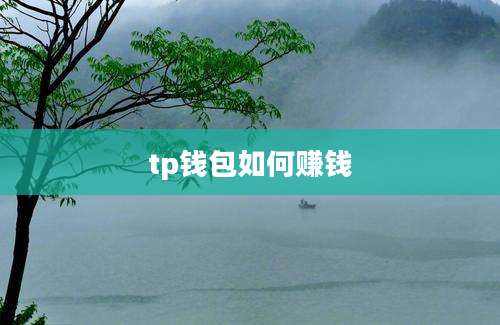 tp钱包如何赚钱