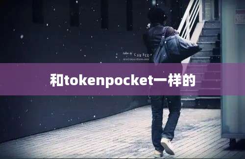 和tokenpocket一样的