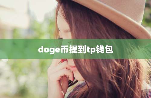 doge币提到tp钱包