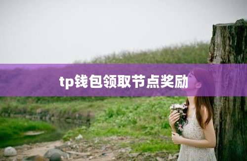 tp钱包领取节点奖励