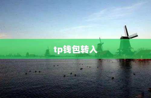 tp钱包转入