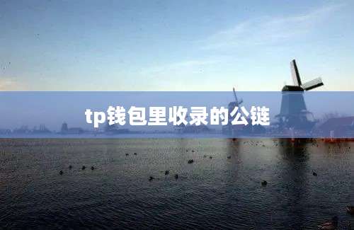 tp钱包里收录的公链