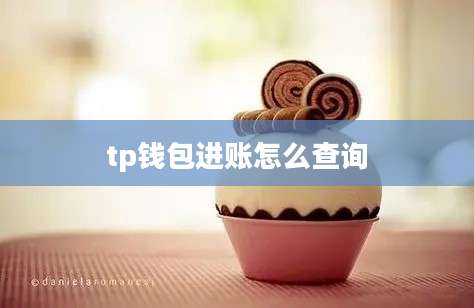 tp钱包进账怎么查询