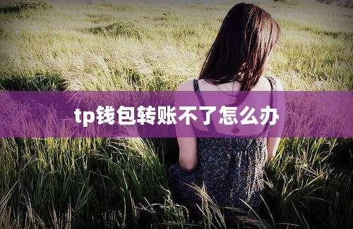 tp钱包转账不了怎么办