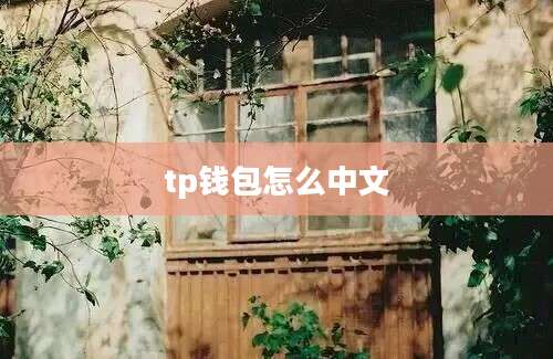 tp钱包怎么中文