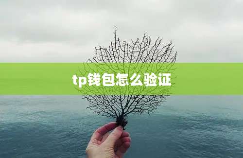 tp钱包怎么验证