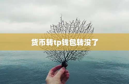 货币转tp钱包转没了