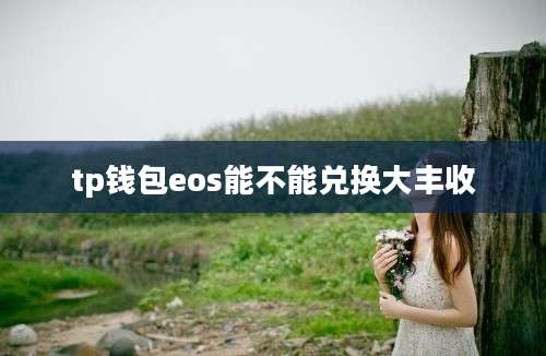 tp钱包eos能不能兑换大丰收