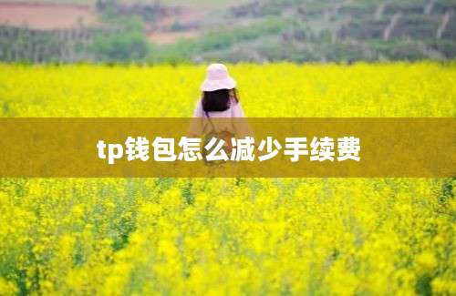 tp钱包怎么减少手续费