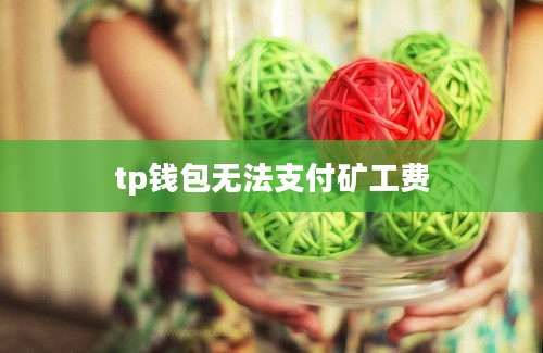 tp钱包无法支付矿工费
