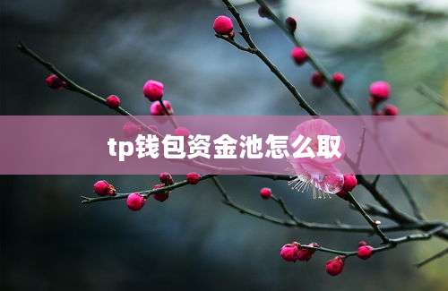 tp钱包资金池怎么取