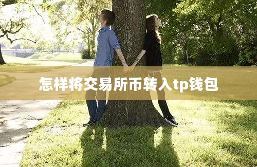 怎样将交易所币转入tp钱包