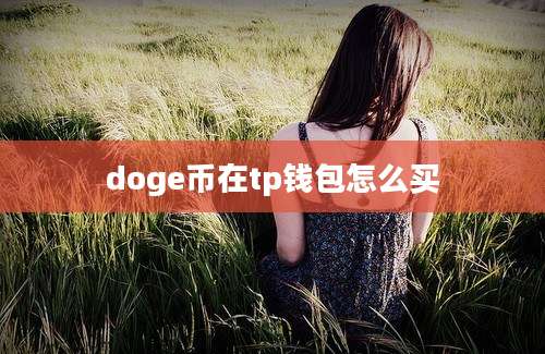 doge币在tp钱包怎么买