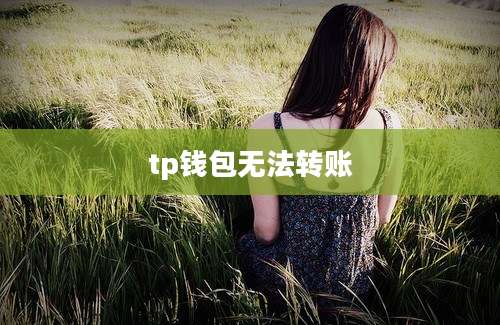 tp钱包无法转账