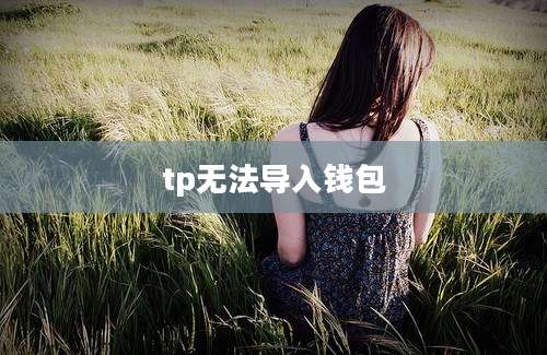 tp无法导入钱包