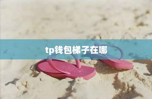 tp钱包梯子在哪