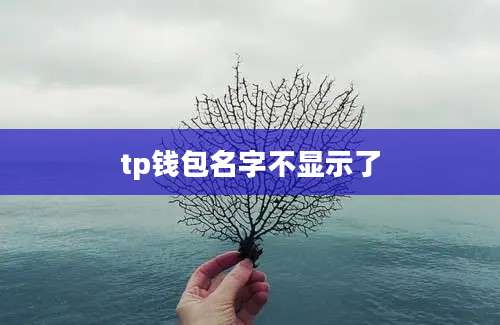 tp钱包名字不显示了