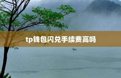 tp钱包闪兑手续费高吗