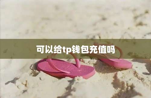 可以给tp钱包充值吗