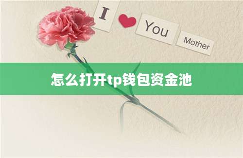 怎么打开tp钱包资金池