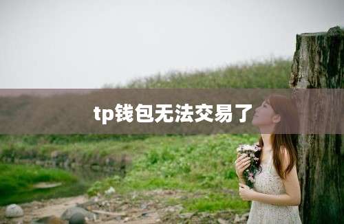 tp钱包无法交易了