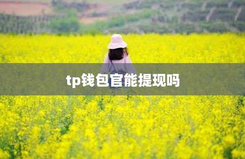 tp钱包官能提现吗