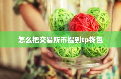 怎么把交易所币提到tp钱包