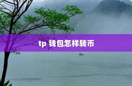 tp 钱包怎样转币