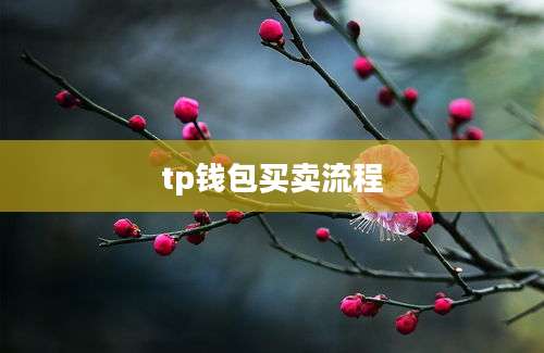 tp钱包买卖流程