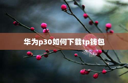 华为p30如何下载tp钱包